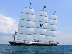 Maltese Falcon